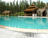 Pool-Side-View