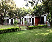 Cottages with Lawn