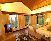 Hill-View Room