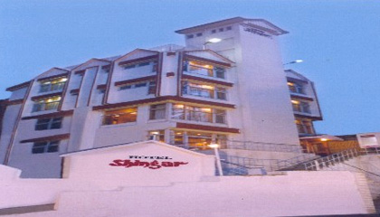 Hotel Shingar